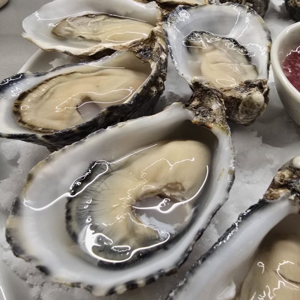 oyster