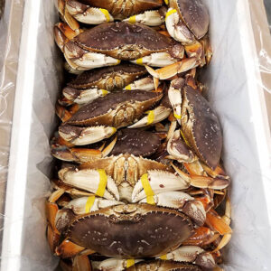Dungeness Crab for Sale