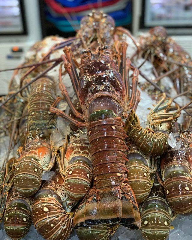 Lobster from Pacific Fresh Crabs & Lobsters