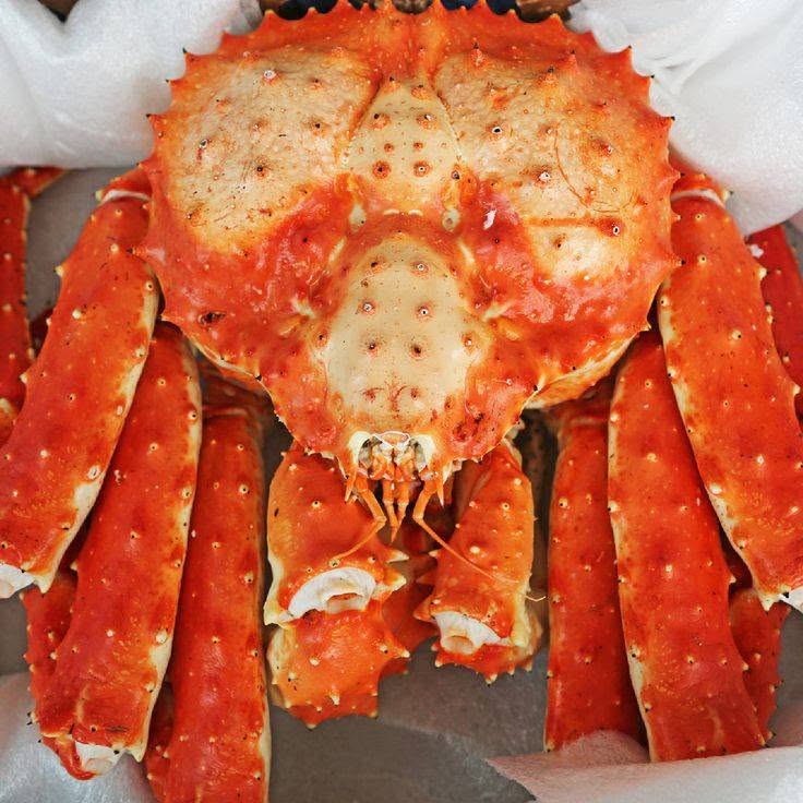 King Crab for Sale