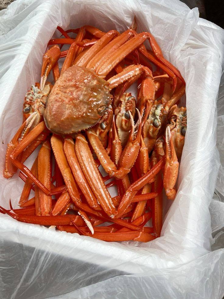 Snow Crab for sale from Pacific Fresh Crabs & Lobsters