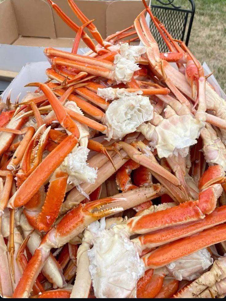 Snow Crab Legs for Sale
