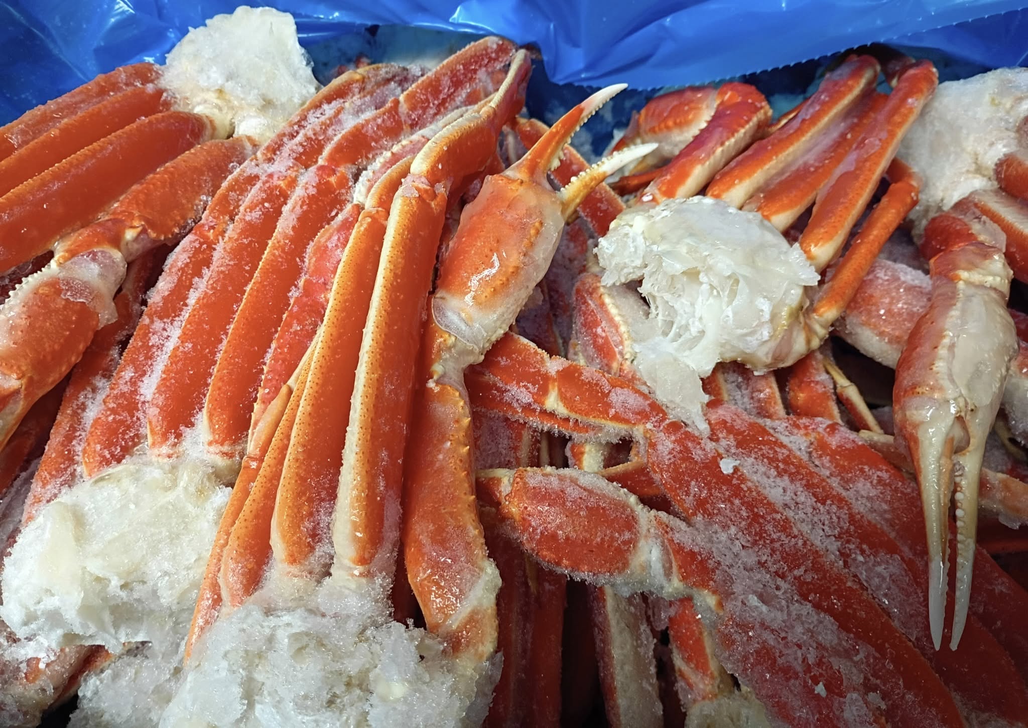 Snow Crab Legs for Sale Snow Crab Legs for Sale