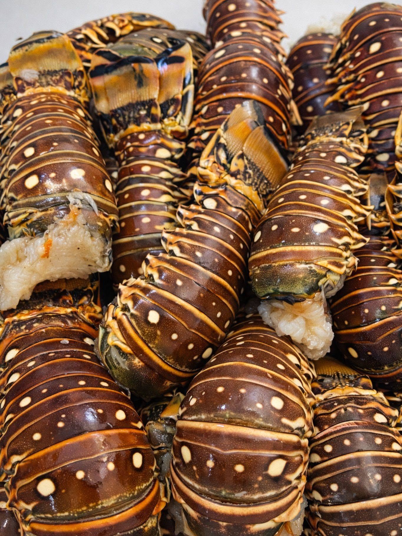 754562349 122107021305398694 2633783124844520500 n Lobster Tail for Sale
