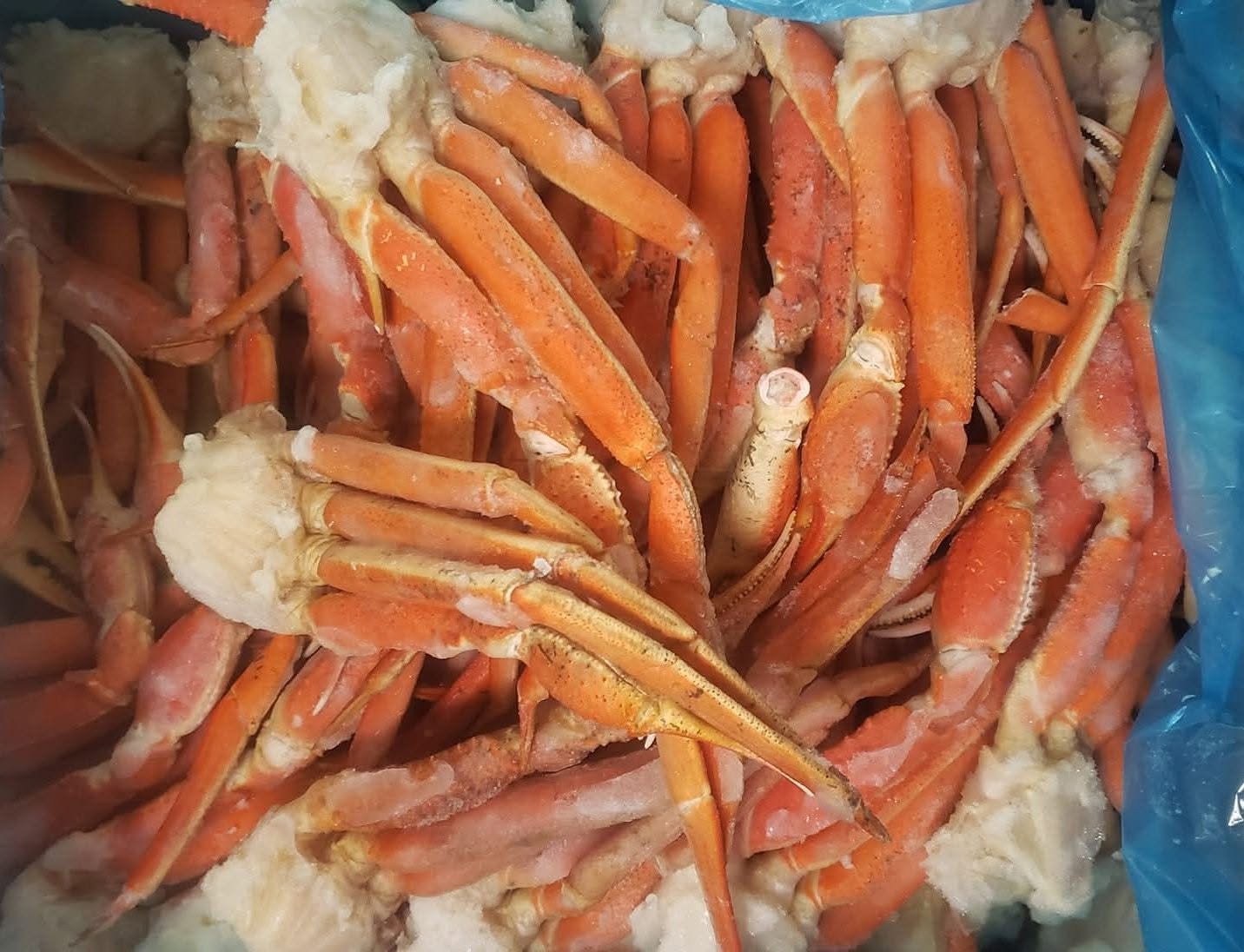 snow Crab Legs for Sale Snow Crab Legs for Sale