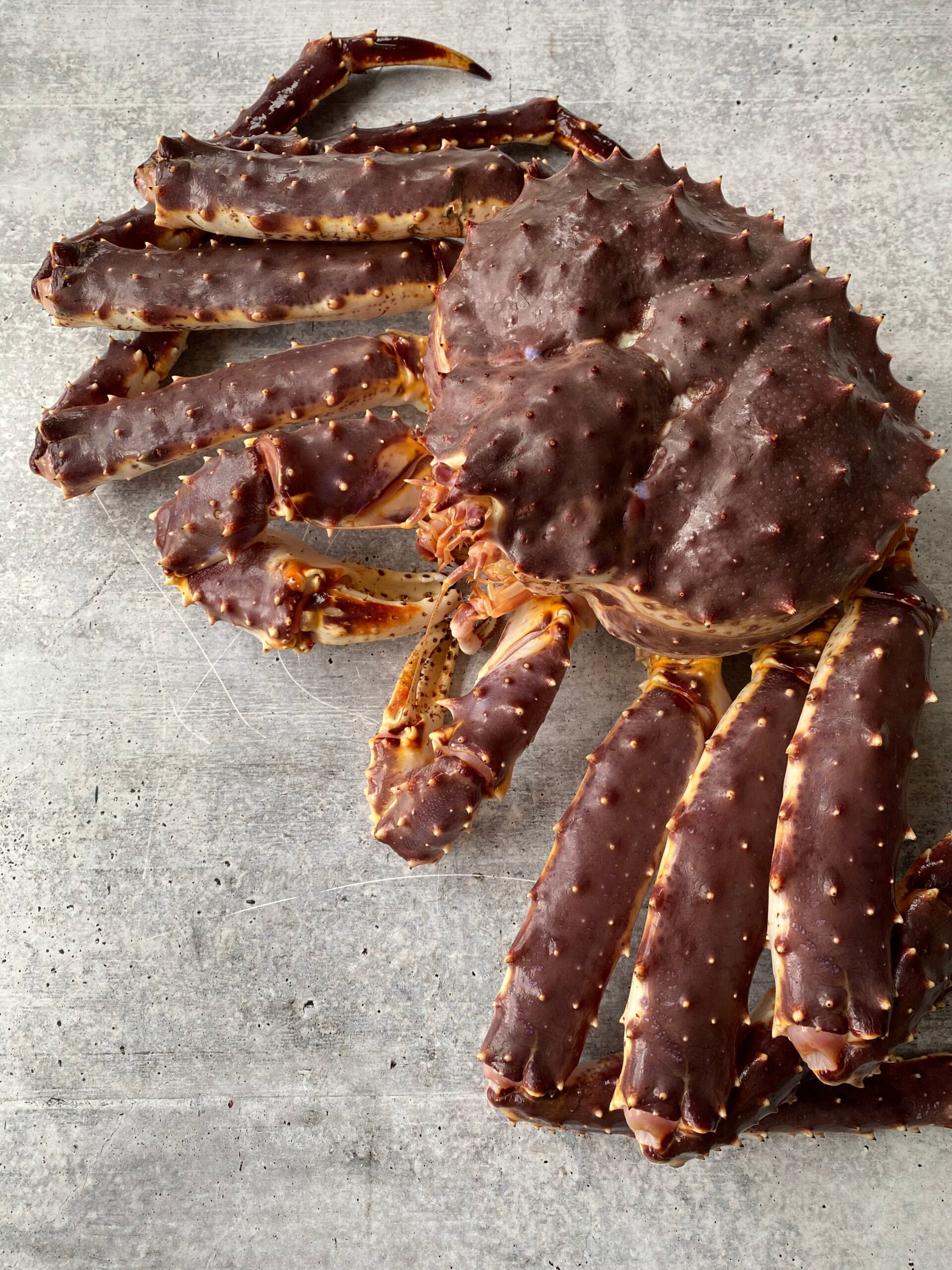 king crab king crab